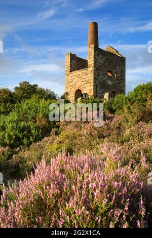 Une maison de moteur à Wheal Peevor près de Redruth dans les Cornouailles. Banque D'Images