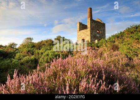 Une maison de moteur à Wheal Peevor près de Redruth dans les Cornouailles. Banque D'Images