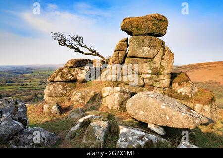 Chinkwell Tor au-dessus de Wilecombe-in-the-Moor dans le parc national de Dartmoor, Devon. Banque D'Images