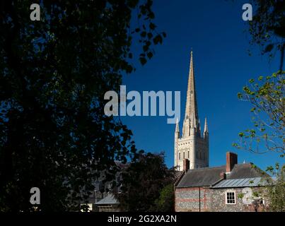 Norwich, Norfolk, Royaume-Uni, juin 2021, une vue de la cathédrale de Norwich de la ferme Banque D'Images