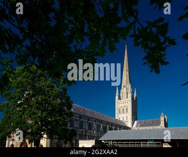 Norwich, Norfolk, Royaume-Uni, juin 2021, une vue de la cathédrale de Norwich de la ferme Banque D'Images