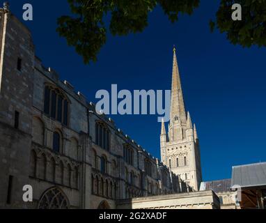 Norwich, Norfolk, Royaume-Uni, juin 2021, une vue de la cathédrale de Norwich de la ferme Banque D'Images