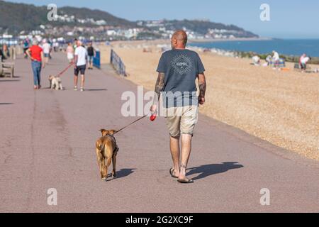 Randonneurs sur une promenade de bord de mer très animée par une chaude journée ensoleillée Banque D'Images