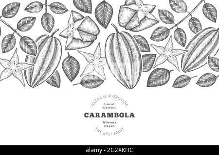 Bannière carambola de style esquisse dessinée à la main. Illustration vectorielle de fruits frais biologiques. Modèle rétro fruit design Illustration de Vecteur