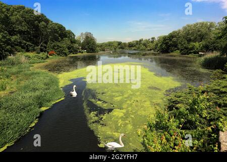 Frank Melville Memorial Park Setauket Long Island New York Banque D'Images