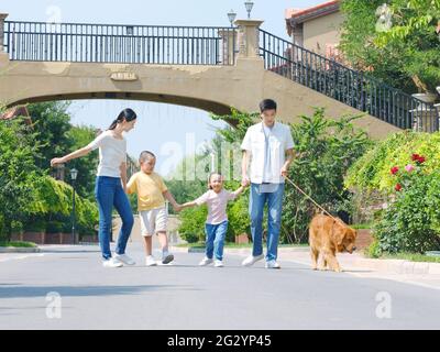 Bonne famille de quatre chiens de randonnée à l'extérieur photo de haute qualité Banque D'Images