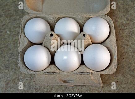 Une demi-douzaine d'œufs de poulet blancs sur une boîte en carton Banque D'Images