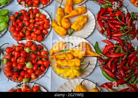 Assortiment de piments sur le marché Banque D'Images