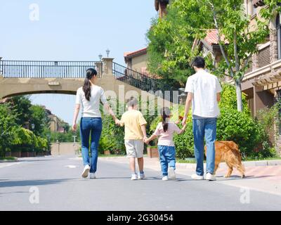 Bonne famille de quatre chiens de randonnée à l'extérieur photo de haute qualité Banque D'Images