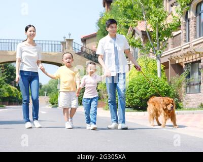 Bonne famille de quatre chiens de randonnée à l'extérieur photo de haute qualité Banque D'Images