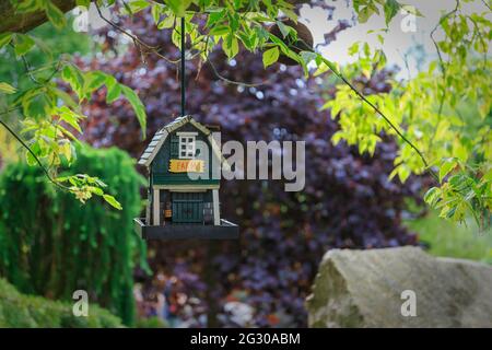 Pendre des maisons d'oiseaux en bois dans le jardin du zoo Banque D'Images