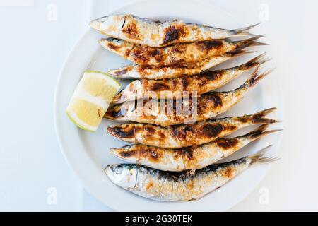 Cuisine andalouse typique. Sardines grillées - Barbecuing de Sardes. Torremolinos, Málaga, Andalucía Espagne, Europe Banque D'Images