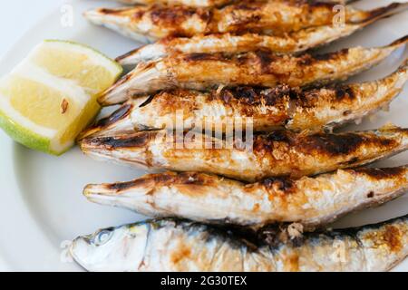 Cuisine andalouse typique. Sardines grillées - Barbecuing de Sardes. Torremolinos, Málaga, Andalucía Espagne, Europe Banque D'Images