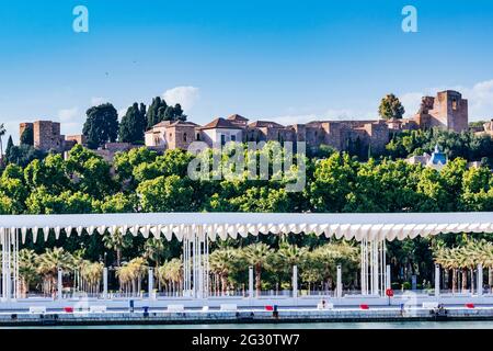 Vue sur le Palmeral de las Sorpresas, palmeraie de surprises, en arrière-plan, l'Alcazaba et le mont de Gibraltar. Port de Málaga. Málaga, Andalousie Banque D'Images