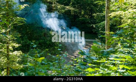 La fumée montante dans la forêt de la fête barbecue Banque D'Images