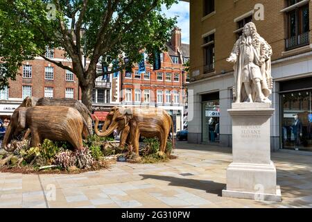 LONDRES ANGLETERRE ÉLÉPHANTS FABRIQUÉS À PARTIR DE LANTANA CAMARA OU DE PLANTES SAUVAGES SAGE QUATRE ÉLÉPHANTS PRÈS DE LA STATUE DE HANS SLOANE KINGS ROAD Banque D'Images