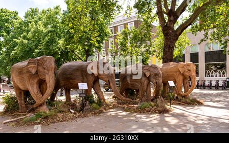 LONDRES ANGLETERRE ÉLÉPHANTS FABRIQUÉS À PARTIR DE LANTANA CAMARA OU DE PLANTES SAUVAGES SAGE TROUPEAU PRÈS DE DUKE OF YORK SQUARE KINGS ROAD Banque D'Images