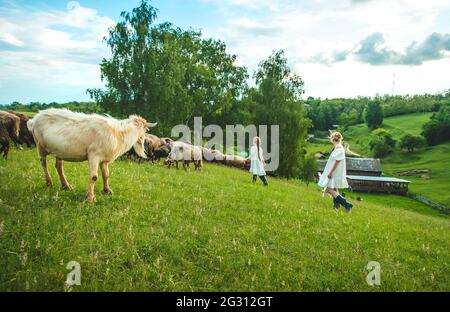 Enfant avec des moutons et des chèvres dans la prairie. Mise au point sélective. Nature. Banque D'Images