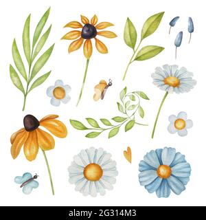 Ensemble aquarelle avec fleurs, papillons et feuilles. Illustration aquarelle lumineuse sur fond clair. Illustration estivale brillante. Banque D'Images