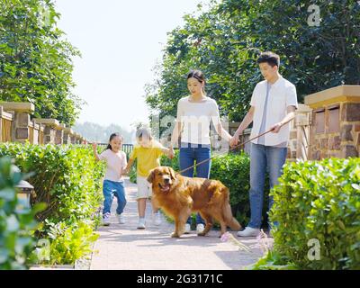 Bonne famille de quatre chiens de randonnée à l'extérieur photo de haute qualité Banque D'Images