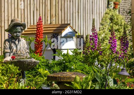 Magnifique jardin de cottage avec une exposition colorée Lupins et Foxgloves Banque D'Images