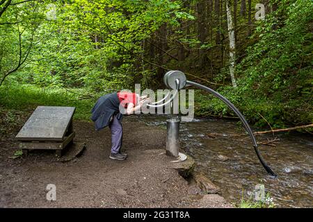 Sur la piste sonore, vous pouvez écouter les rythmes irréguliers du monde sous-marin. Parc Hosingen, Luxembourg Banque D'Images