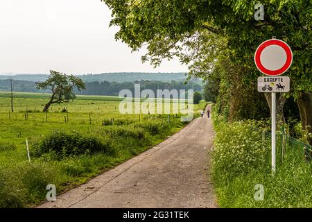 Sentier de randonnée asphalté près de Berdorf, Luxembourg. Le point de départ de la scène de la journée à travers le Müllerthal est Berdorf. Une route de terre mène directement du village en direction de la forêt et après quelques minutes à pied, vous êtes dans un autre monde. Banque D'Images