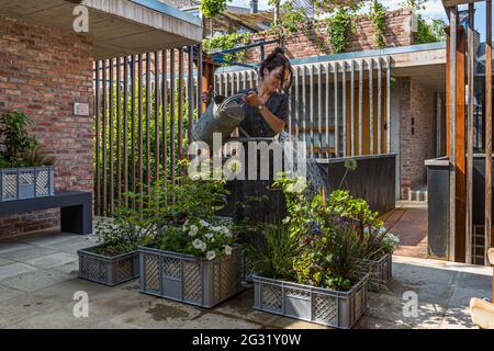 Jardins urbains sur le toit de l'hôtel Graace à Luxembourg Banque D'Images