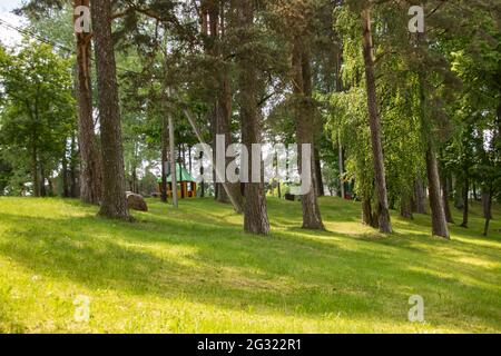 Belvédère et grands arbres dans le parc de près Banque D'Images