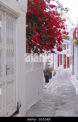 Île de Mykonos, Grèce. Bâtiments blanchis à la chaux, rue pavée étroite. Village de Chora, architecture traditionnelle aux couleurs blanche et bleue. vacances d'été Banque D'Images