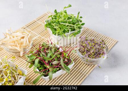 Mélange de divers germes sur fond blanc. Grains germés. Alimentation saine, désintoxication. Banque D'Images