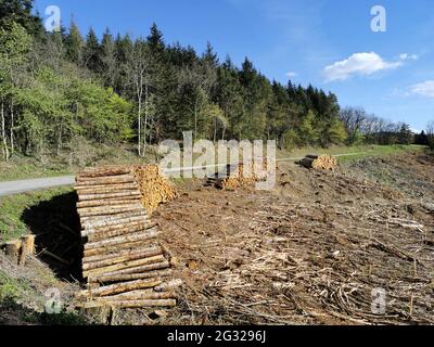 Les piles de rondins par la route dans le Parc naturel du Livradois Forez, département du Puy de Dôme, Auvergne-Rhône-Alpes, France Banque D'Images