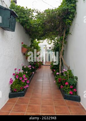 Jolie allée décorée de fleurs à Chiclana de la Frontera, Cadix, Espagne Banque D'Images