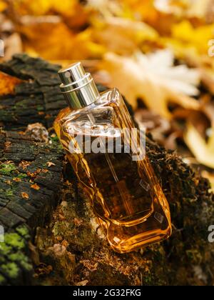 Bouteille en verre de parfum boisé aromatique de luxe sur fond d'automne. Emballage minimaliste, marquage. Parfum boisé. Verre transparent Banque D'Images