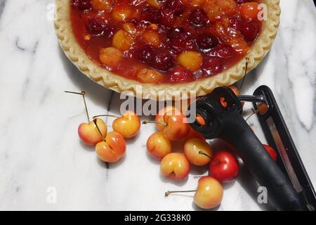 Tarte à la cerise maison ouverte au Rainer et cerises rouges sombres à la cerise Banque D'Images