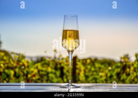 Dégustation de vins de Pinotage en plein air dans le vignoble de Stellenbosch au cap en Afrique du Sud Banque D'Images