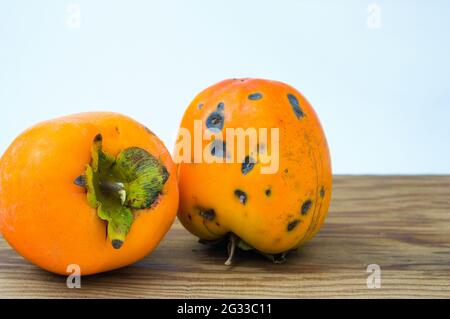 Gros plan de quelques persimmons de la variété Rouge vif, pleins de coups causés par la grêle qui est tombée pendant une tempête Banque D'Images