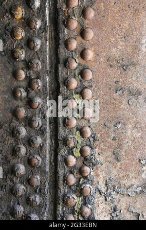 Boulons rouillés sur du métal texturé abîmé. Banque D'Images