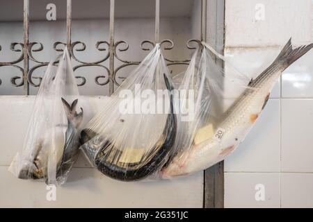 Poisson frais dans des sacs en plastique à la vente aux enchères de fruits de mer à Alacati, Turquie Banque D'Images