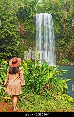 La chute d'eau et le trou de baignade des chutes Millaa Millaa Falls sont incontournables lors de toute excursion en voiture ou en groupe dans les plateaux au départ de Cairns Banque D'Images