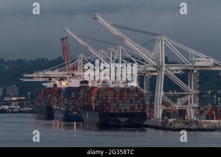 Seattle, États-Unis. 13 juin 2021. Tard dans la soirée, le navire de cargaison ZIM d'Israël a été ancré dans la baie Elliott au port de Seattle. Le ZIM San Diego devait se mettre à quai le 2 juin, mais il a été tenu dans la baie jusqu'au 12 juin. Les manifestants pro-palestiniens ont bloqué le ZIM San Diego de décharger sa cargaison alors que la violence à Gaza s'intensifie. Une manifestation similaire à Oakland a forcé un autre bateau ZIM à abandonner le déchargement plus tôt ce mois-ci. Crédit : James Anderson/Alay Live News Banque D'Images