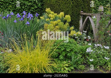 WOLLERTON, SHROPSHIRE / ROYAUME-UNI - 22 MAI 2014 : le jardin du Wollerton Old Hall Banque D'Images