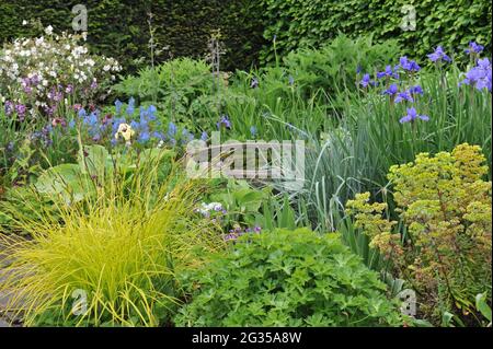 WOLLERTON, SHROPSHIRE / ROYAUME-UNI - 22 MAI 2014 : le jardin du Wollerton Old Hall Banque D'Images