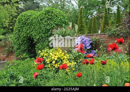 WOLLERTON, SHROPSHIRE / ROYAUME-UNI - 22 MAI 2014 : le jardin du Wollerton Old Hall Banque D'Images