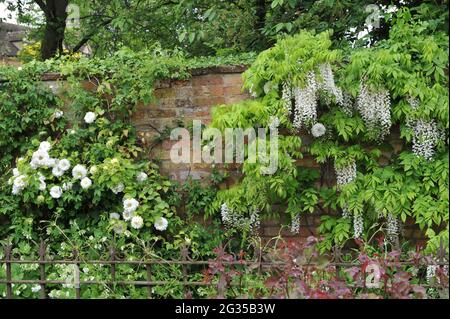 WOLLERTON, SHROPSHIRE / ROYAUME-UNI - 22 MAI 2014 : le jardin du Wollerton Old Hall Banque D'Images