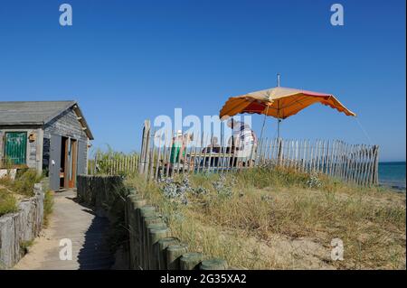 FRANCE, CHARENTE-MARITIME (17) ÎLE DE RE, VILLAGE DE SAINTE-MARIE-DE-RE ET HAMEAU DE LA NOUE, PLAGE DE MONTAMER Banque D'Images