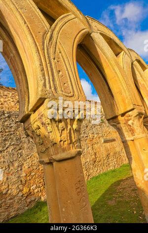 Capital Detail, Monastery of San Juan de Duero, Cloister, 12th century, Romanesque Style, National Monument, Spanish Property of Cultural Interest, So Stock Photo