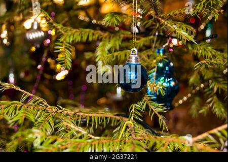 Nouvel an ou Noël vif décoré avec élégance épicéa gros plan - jouets de Noël sur fond de branches vertes et de lumières. Banque D'Images