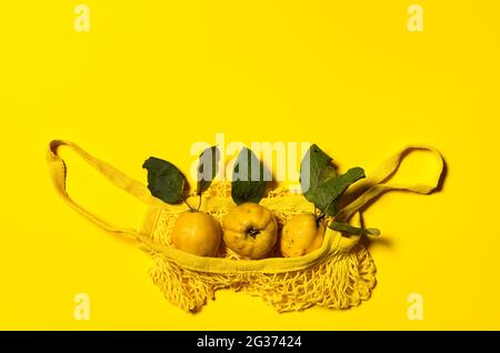 Trois pommes de coing avec des feuilles naturelles et un sac à provisions à filet jaune. Couché à plat sur fond de papier jaune. Les fruits et les feuilles ont un imperméable naturel Banque D'Images