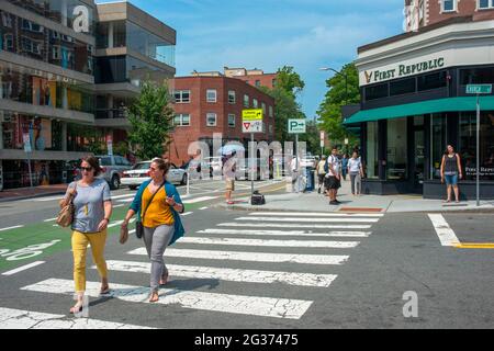 Croswalk et des boutiques à proximité de l'université de Harvard et de Harvard Square, Cambridge, Boston, Massachusetts, États-Unis Banque D'Images